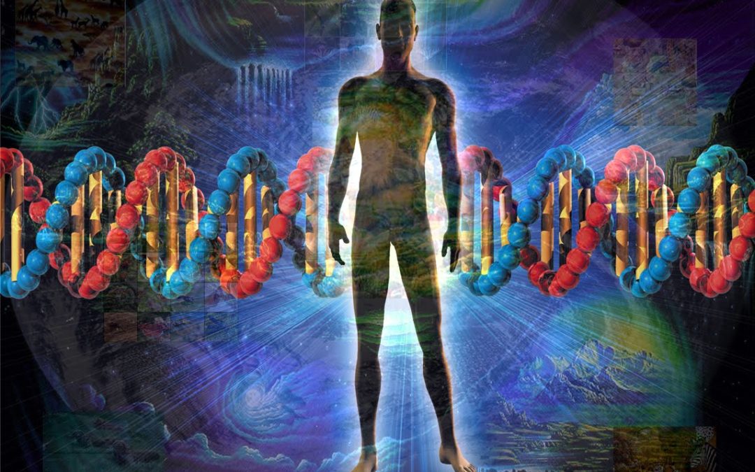 Campi Morfogenetici e Fisica Quantistica