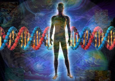 Campi Morfogenetici e Fisica Quantistica